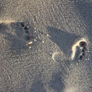 Meet your Posher, Larissa